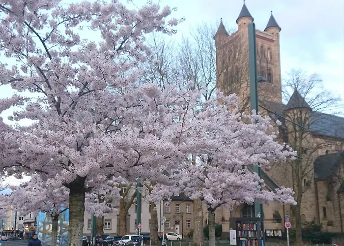 Appartement Down-town-oasis *