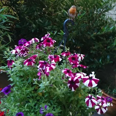 Apartamento Down-town-oasis Düsseldorf