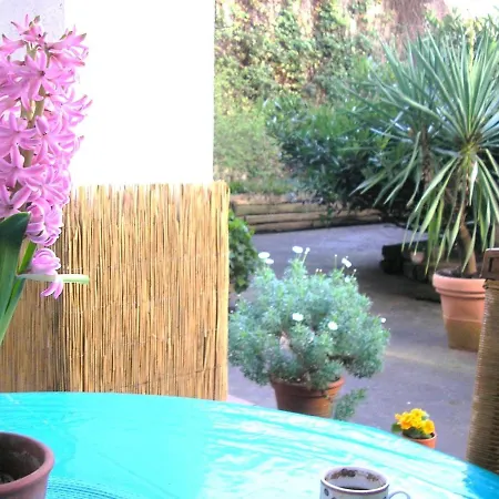Down-town-oasis Apartment *