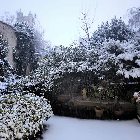 Down-town-oasis * デュッセルドルフ