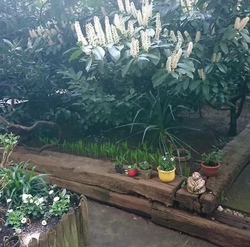 Down-town-oasis 아파트 *